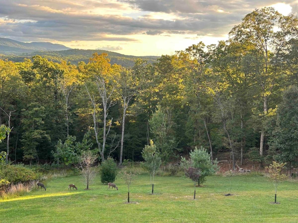Shenandoah Thunder Chalet Guest Suite