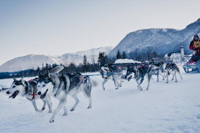 Zu Hause in Tirol
