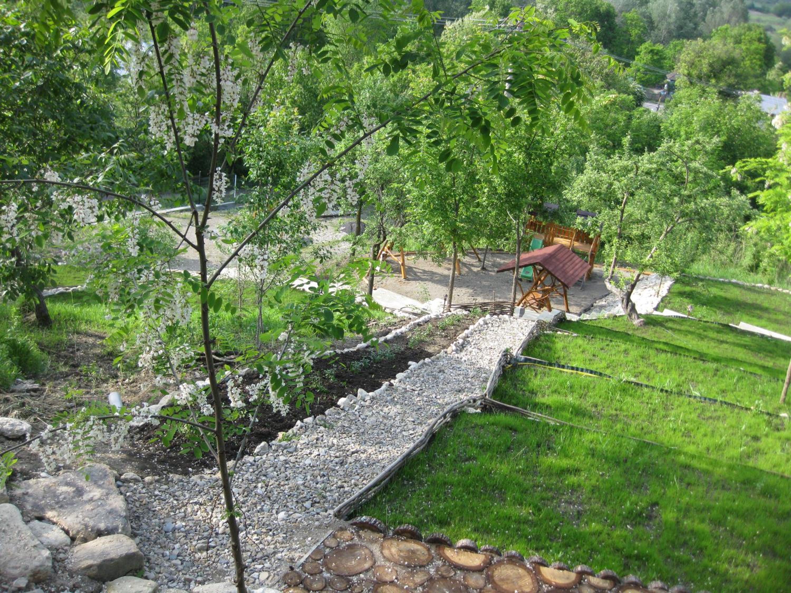 Photo 42