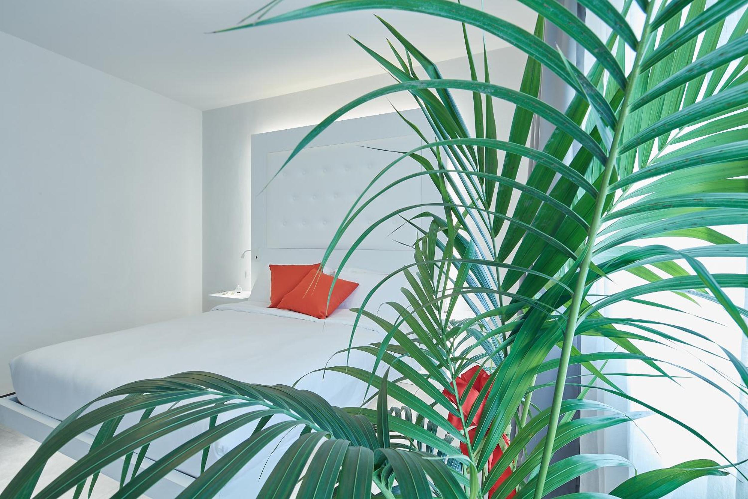B&B VIA ROMA 25