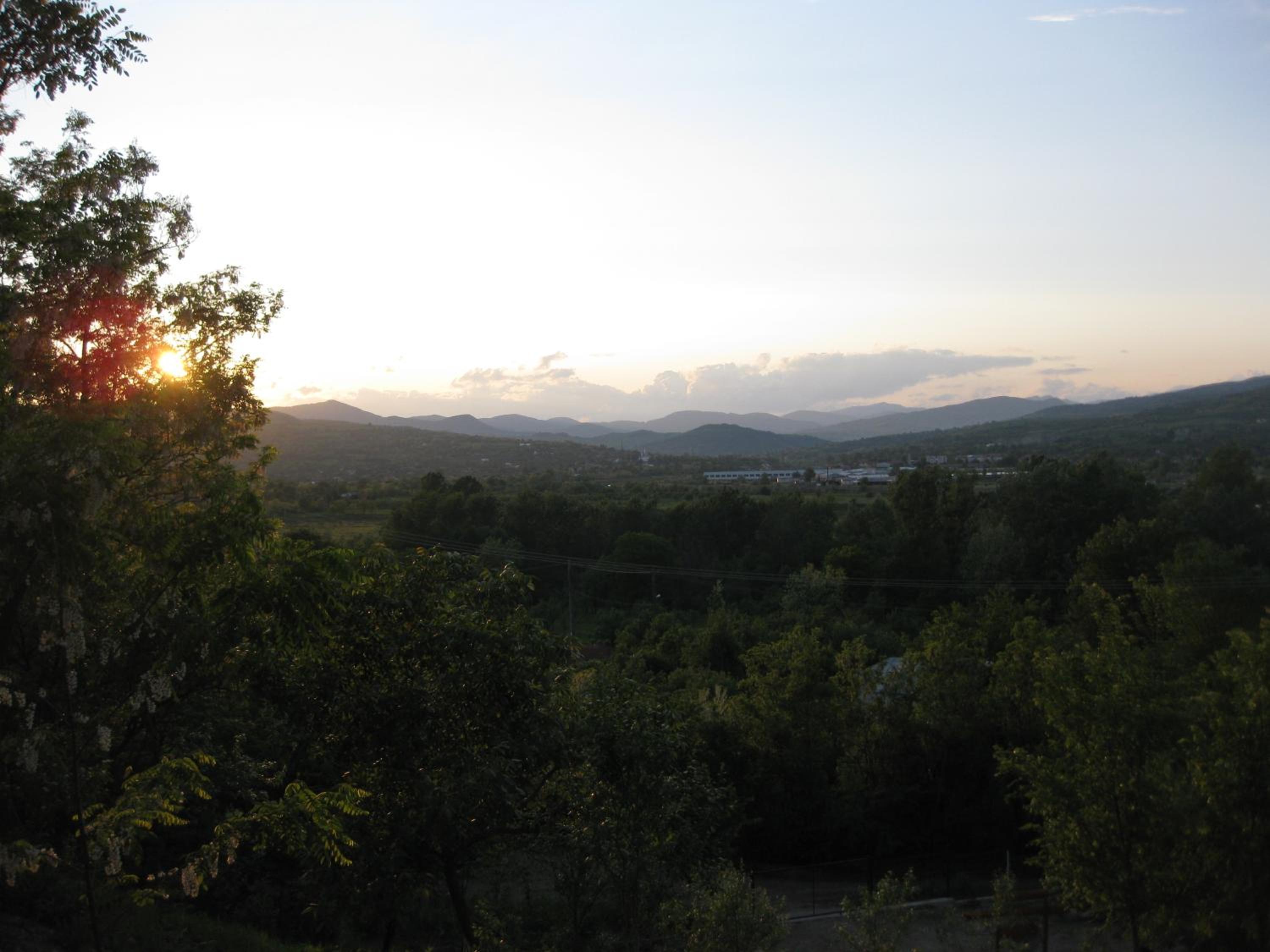 Photo 33