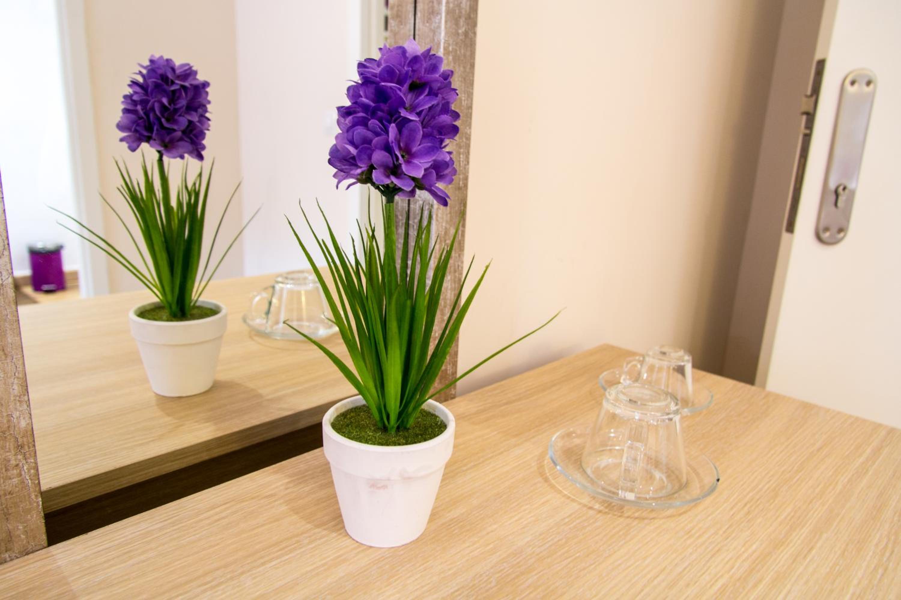 Hostal Barcelona Travel