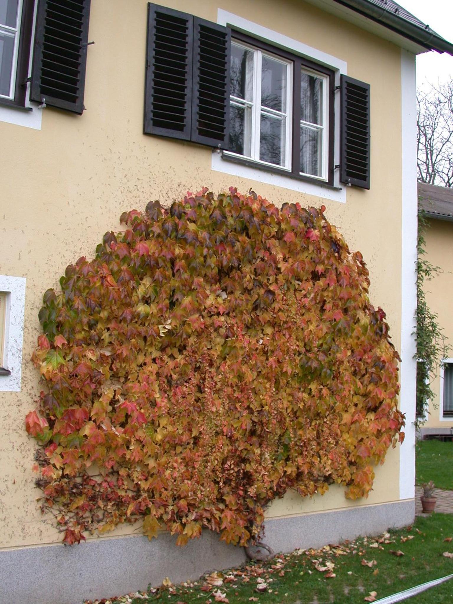 Landhaus Kügler-Eppich, KuEp KG