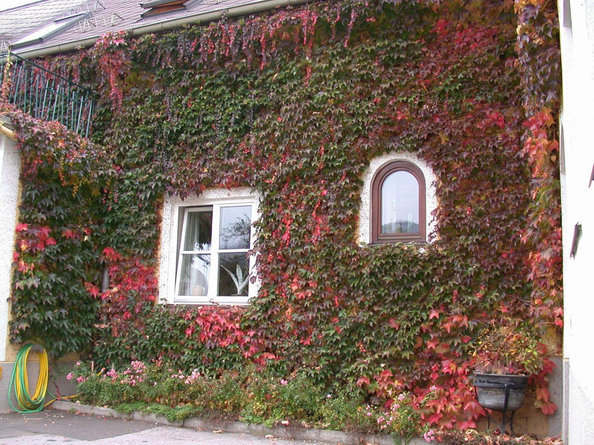Landhaus Kügler-Eppich, KuEp KG