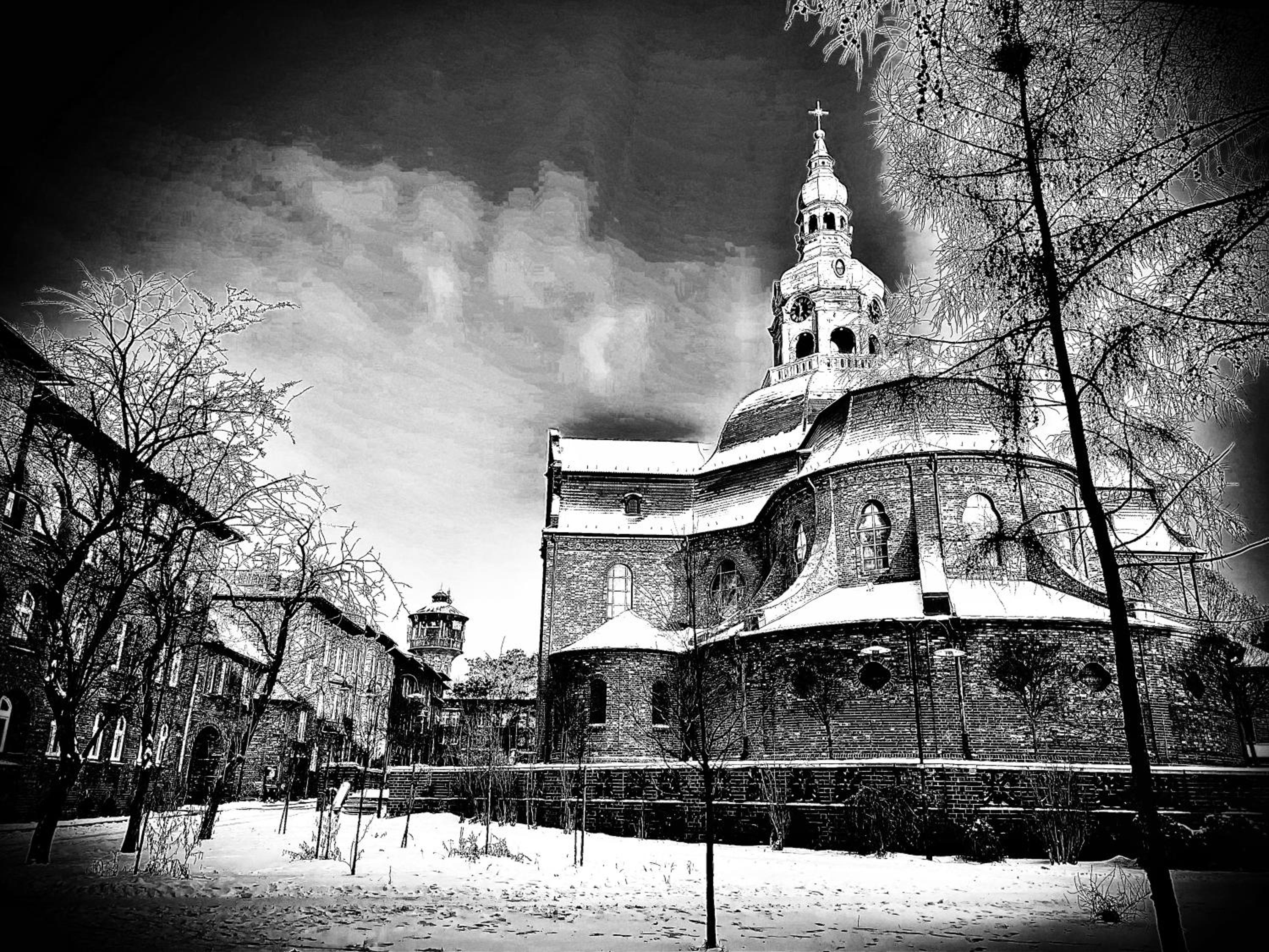 Photo 40