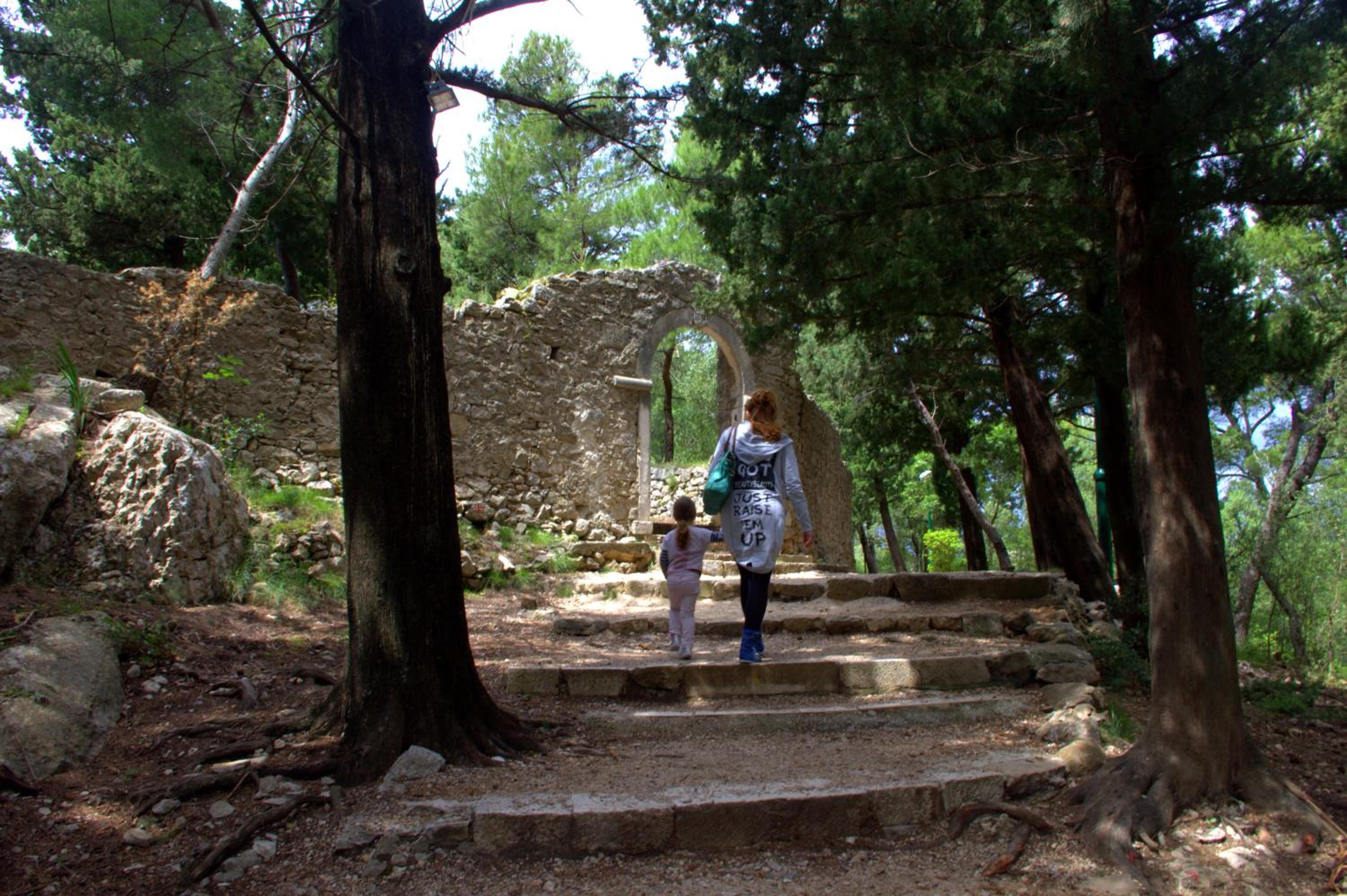 Photo 49