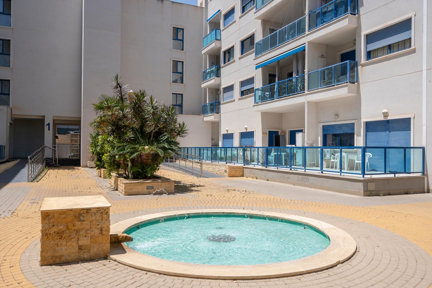 Palmera del mar