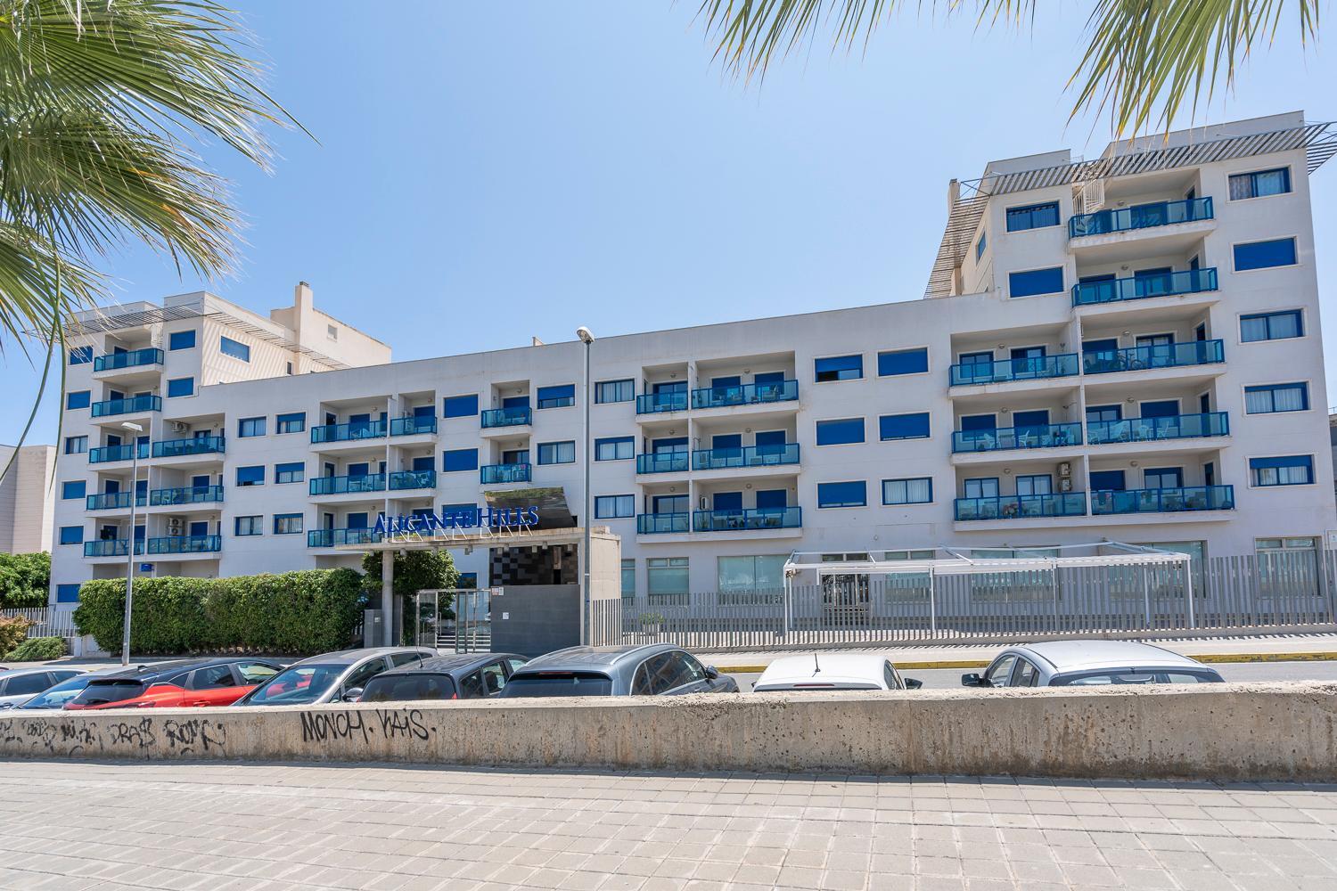 Palmera del mar