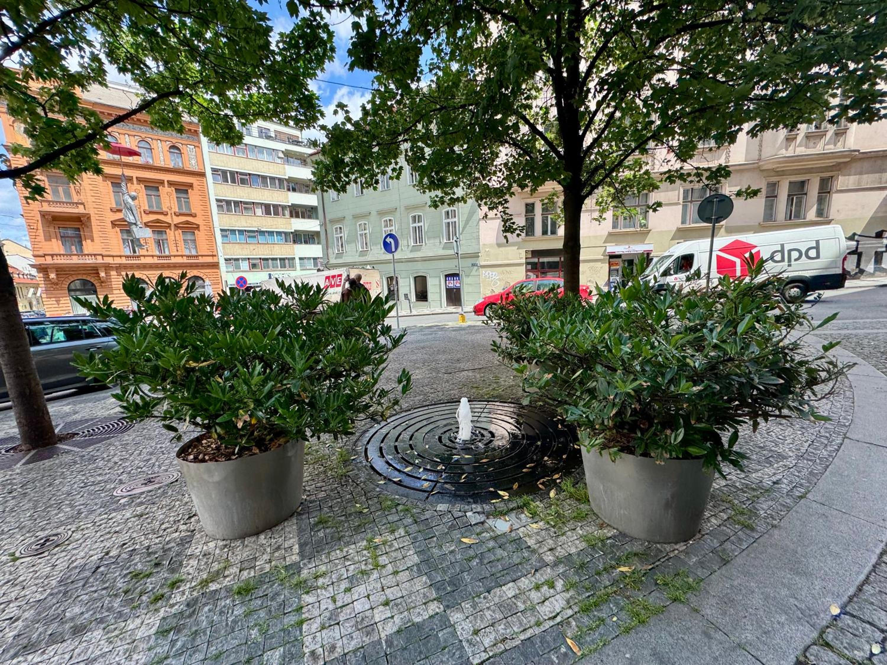 Perfect place in the city center