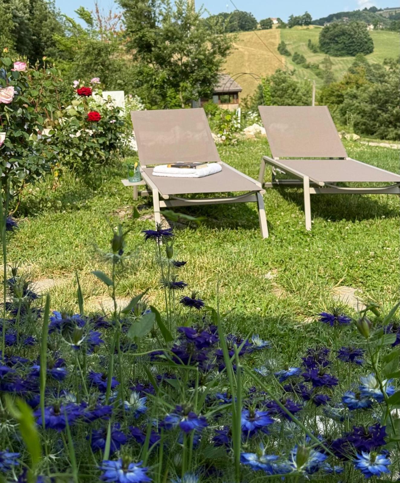 Riserva Del Frignano Appartaments