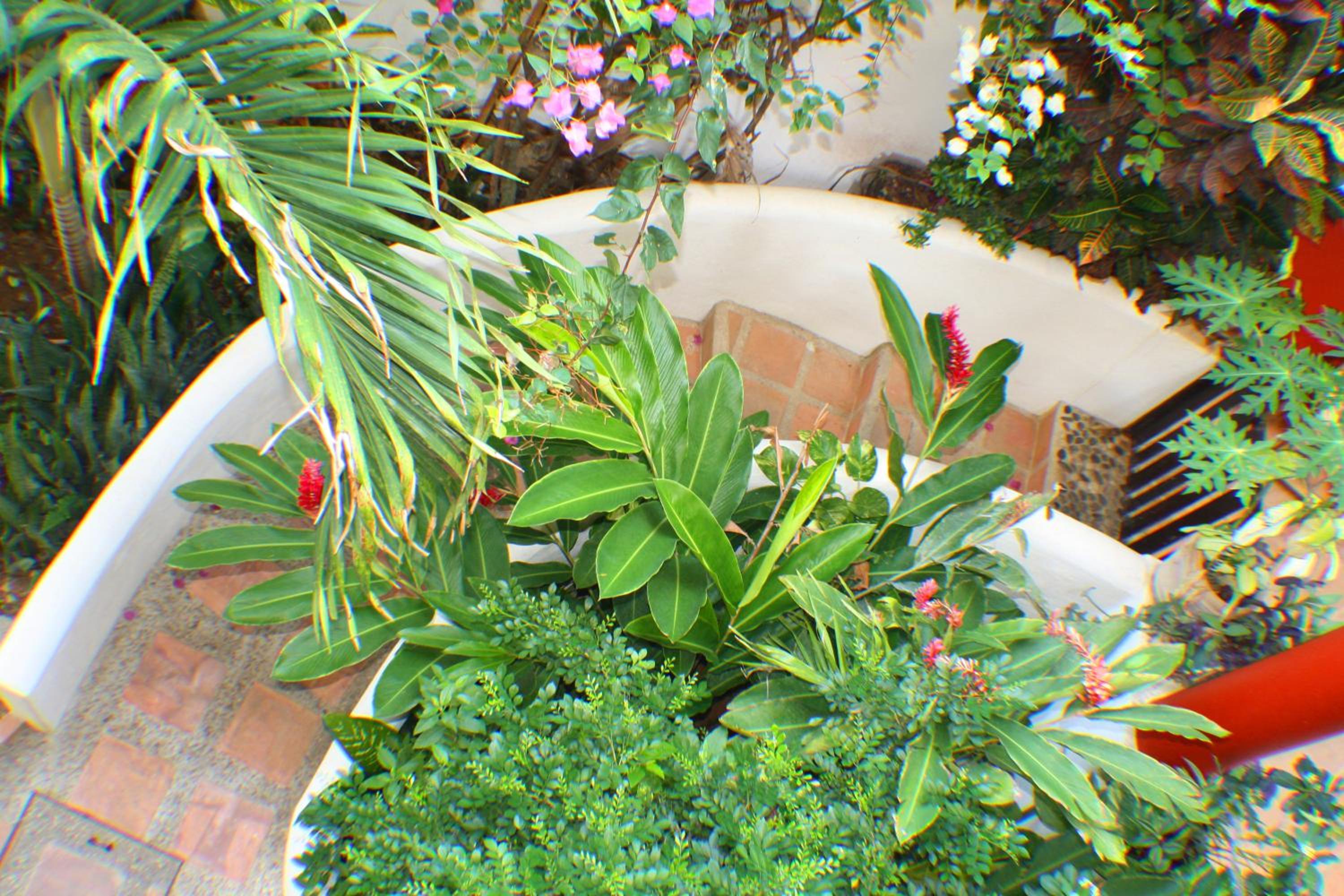 Cielito Lindo Suites