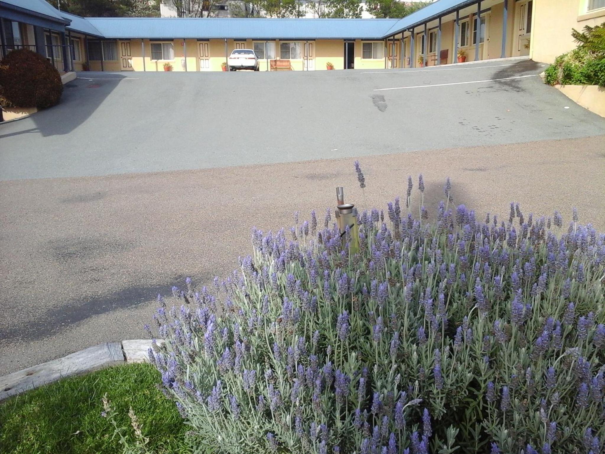 Willows Motel