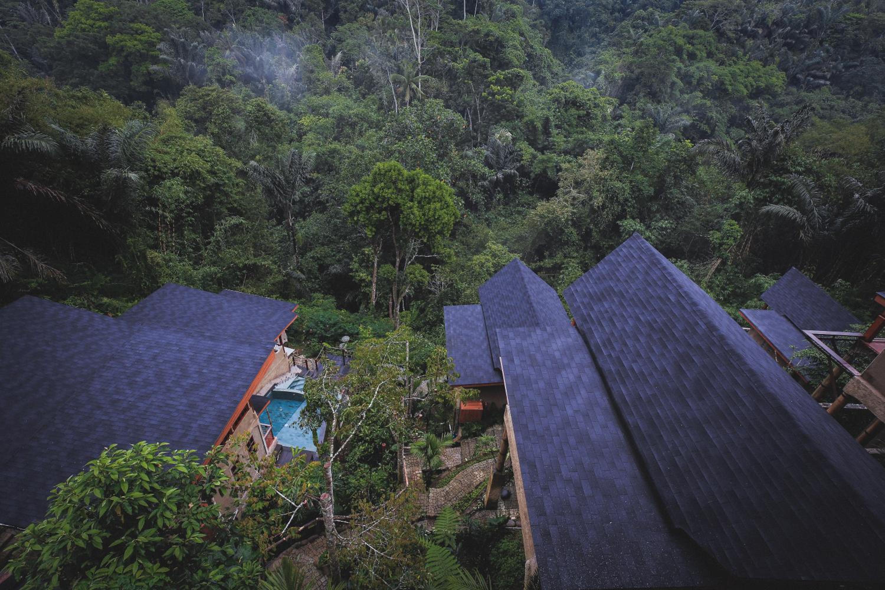 Harsa Sanctuary by GenuineHost