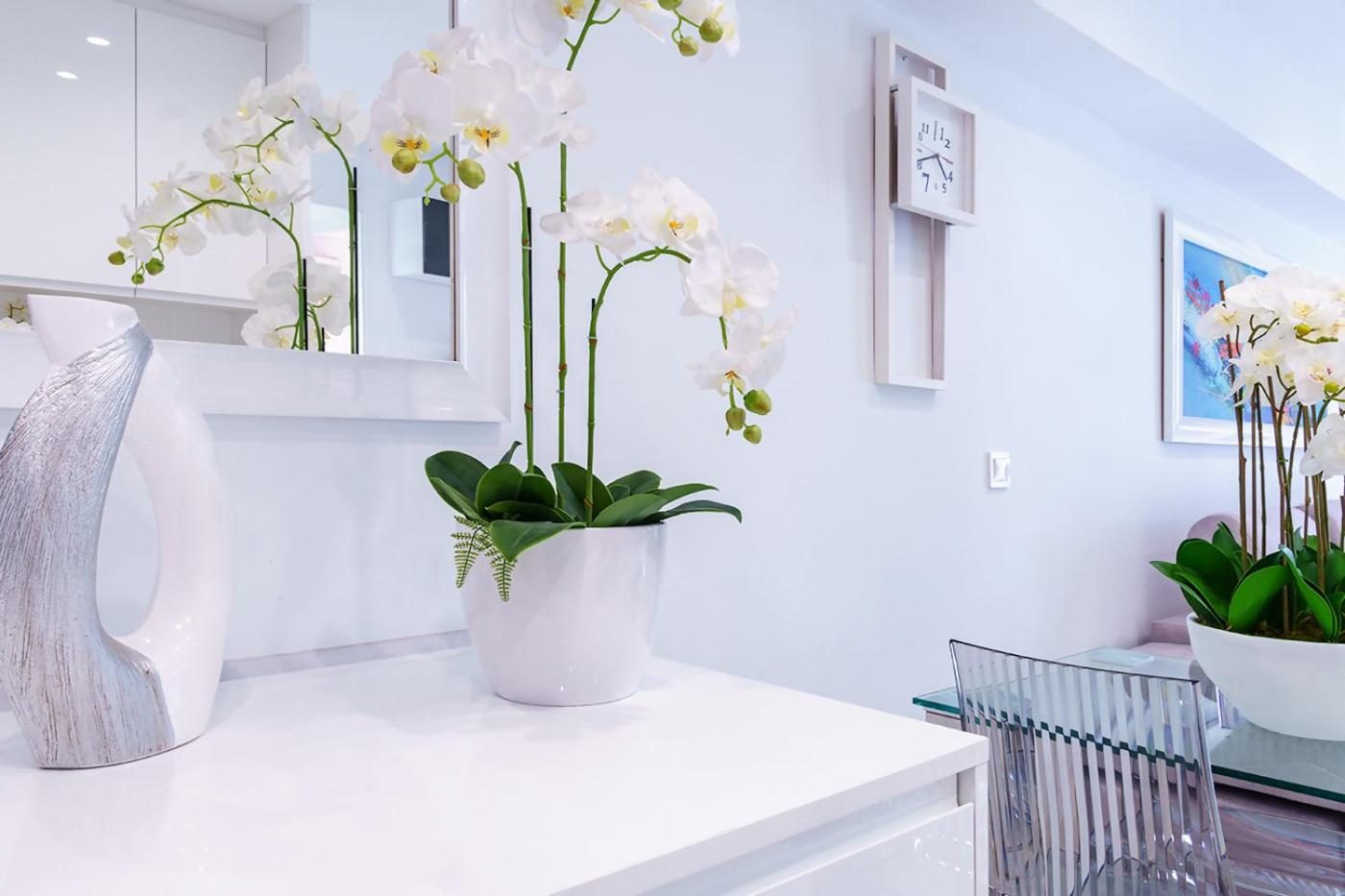 Apartamento Edificio Astoria