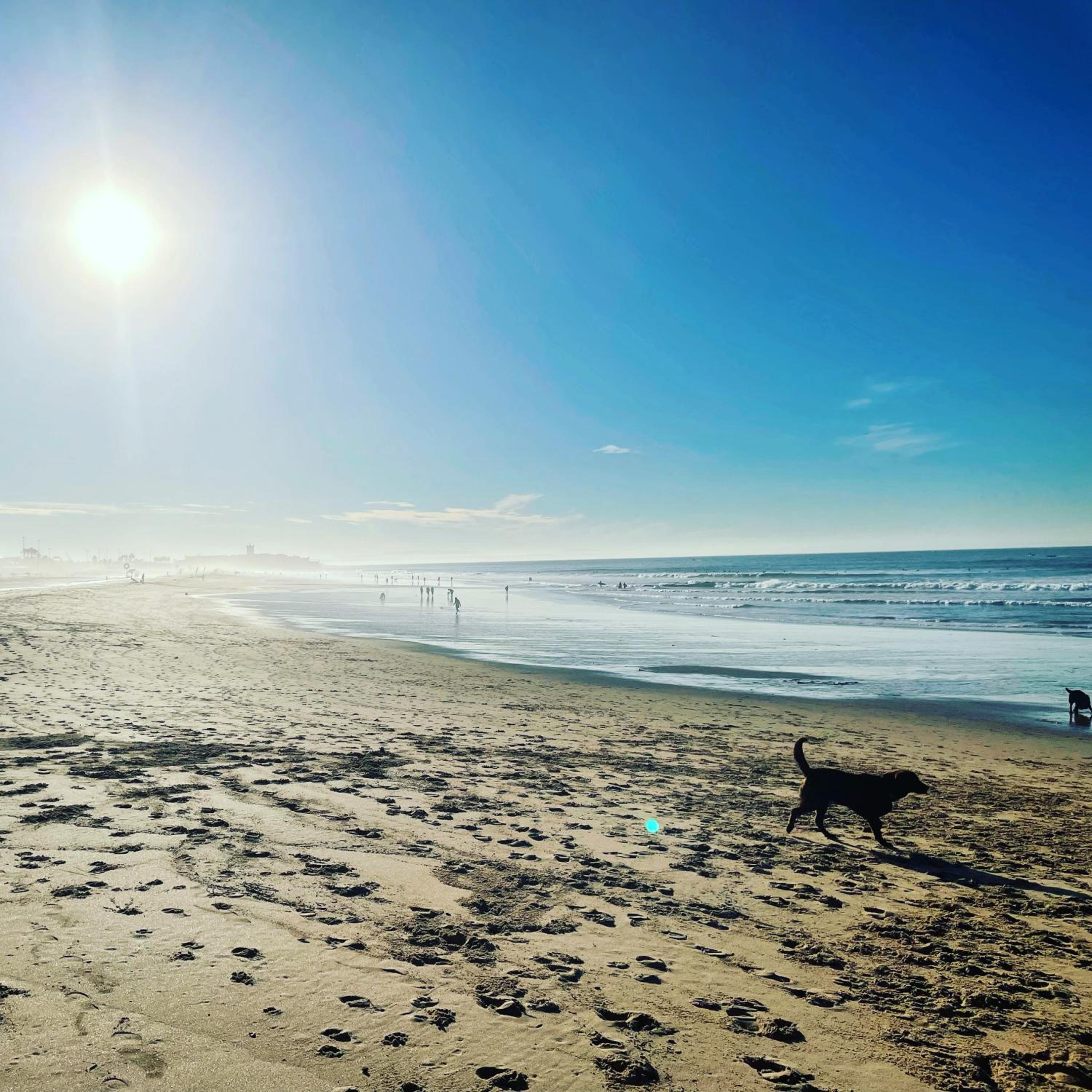 NEW 3 Bedroom Beachfront Apartment