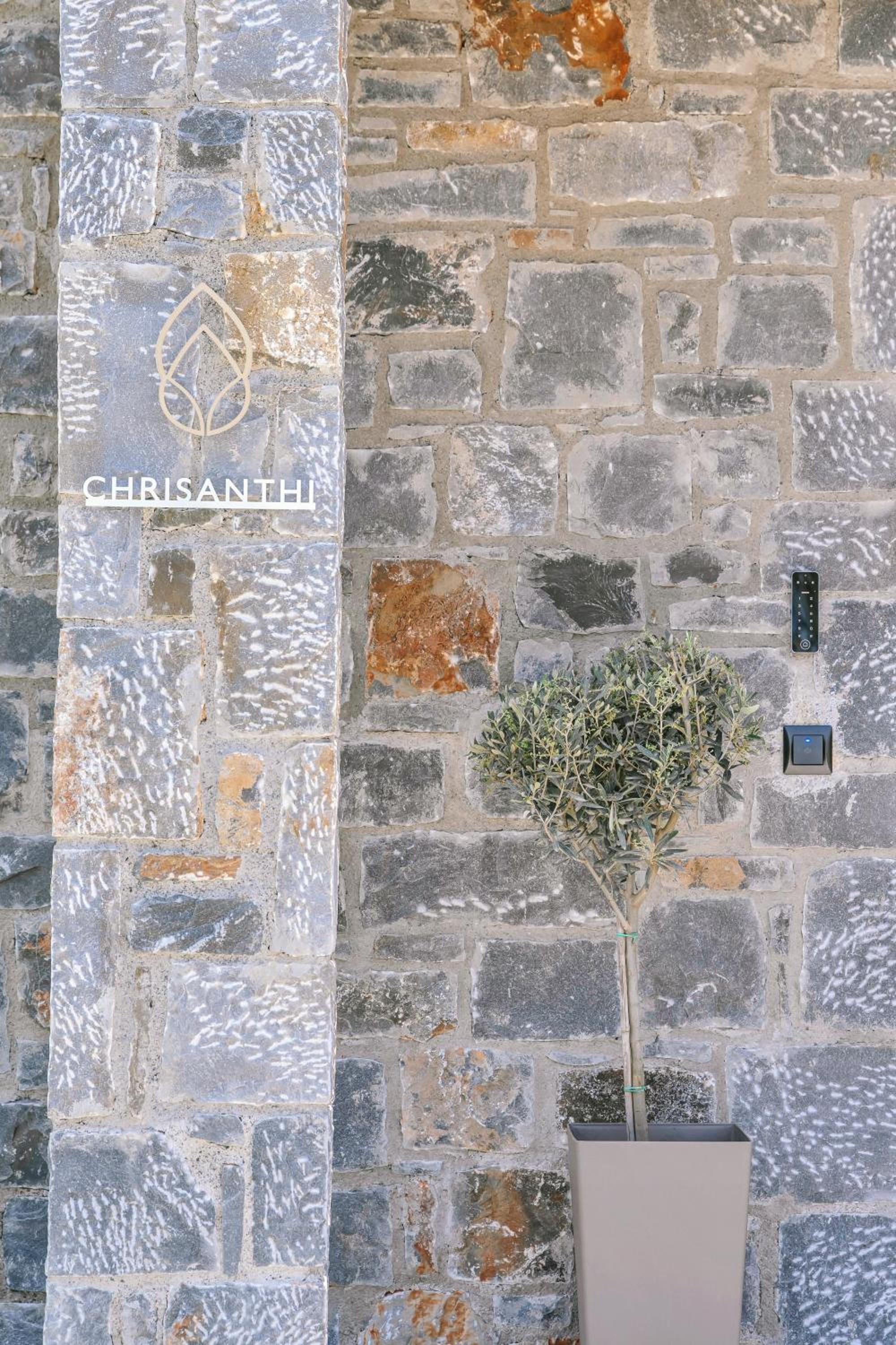 Olearia Villas