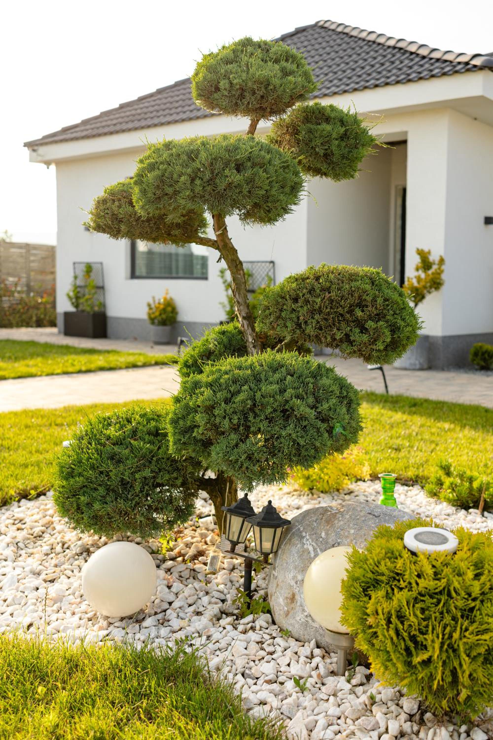 Amavi Homes With Garden