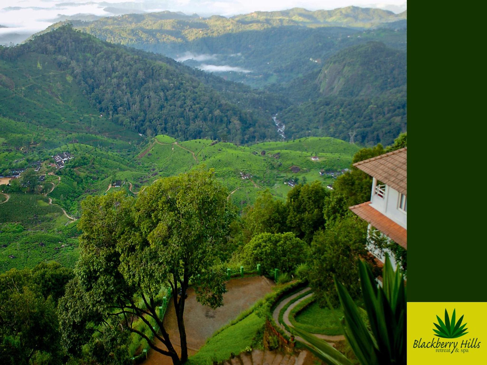 Munnar Vacations - Blackberry Hills Munnar Nature Resort  Spa - Property Image 4
