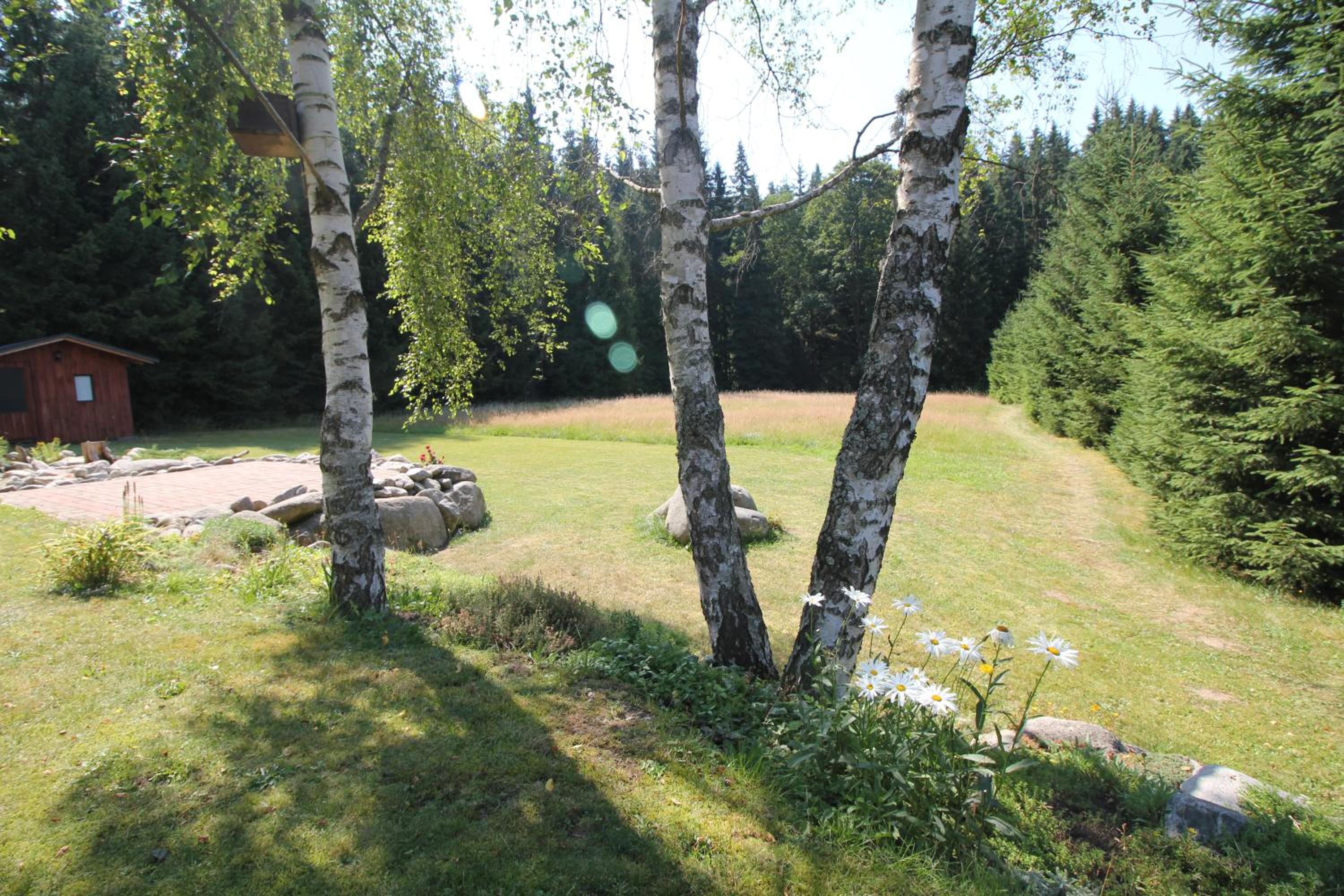 Photo 75