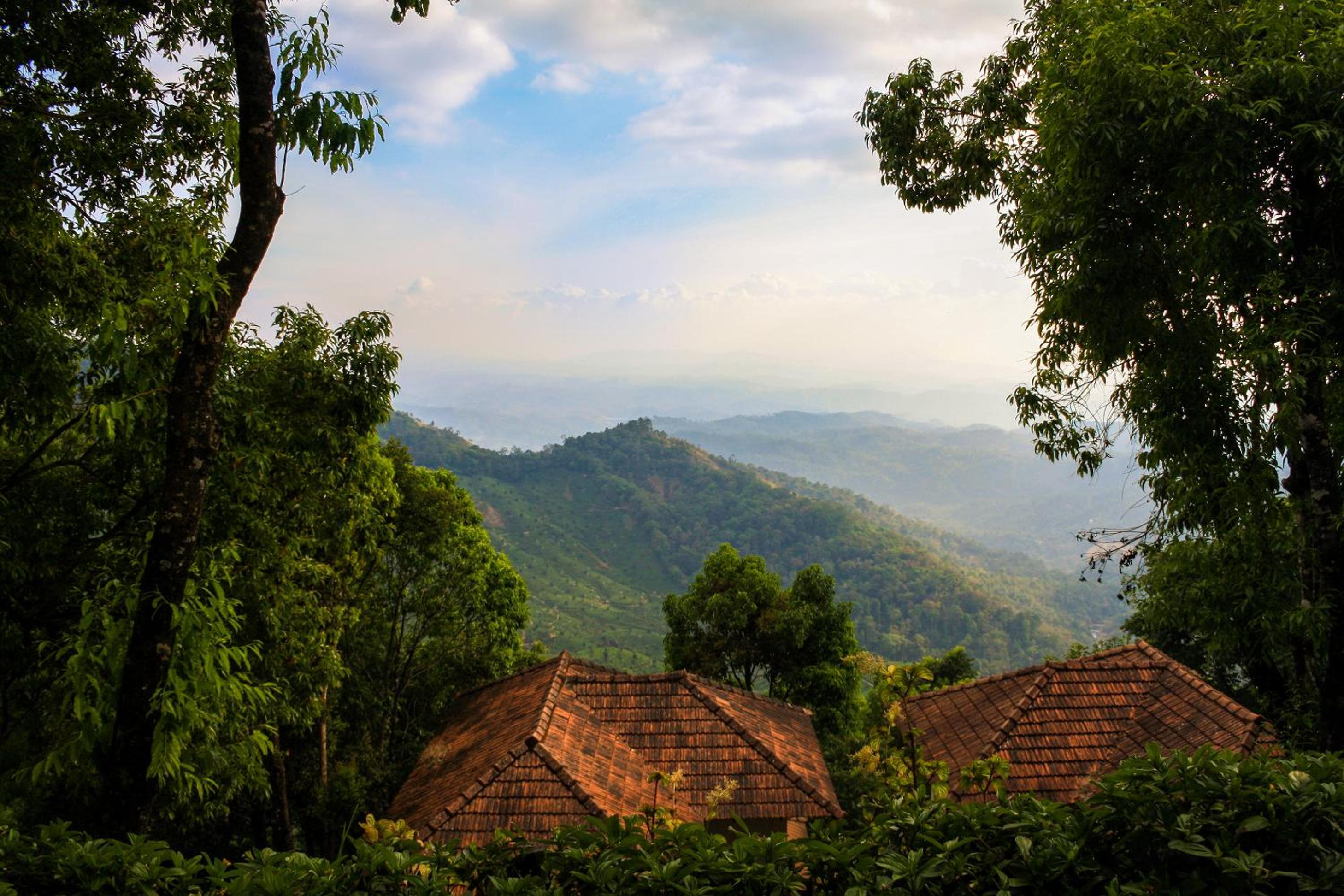 Munnar Vacations - Blackberry Hills Munnar Nature Resort  Spa - Property Image 10