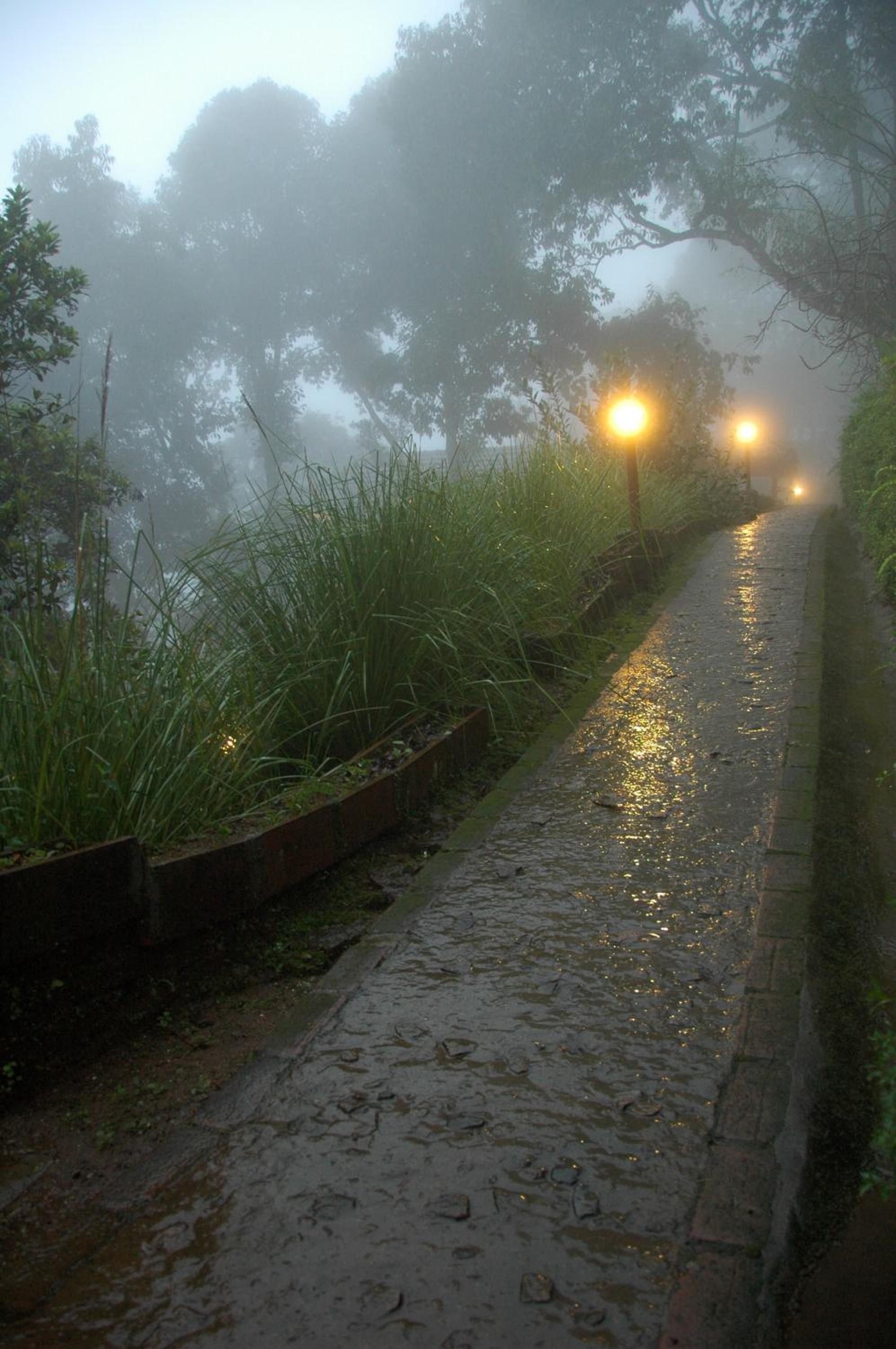 Munnar Vacations - Blackberry Hills Munnar Nature Resort  Spa - Property Image 12