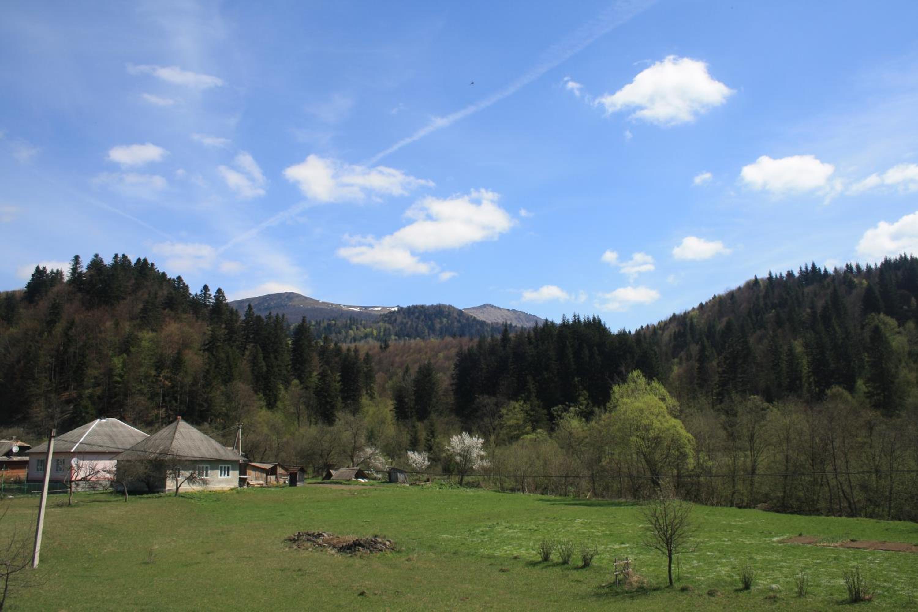 Photo 33