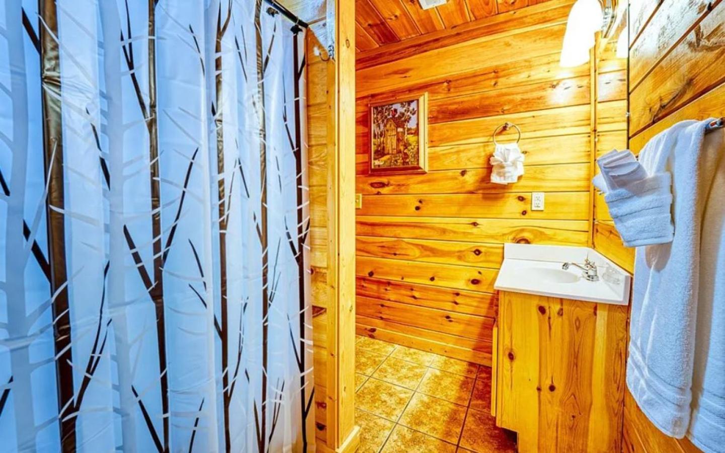 Sawmill Lodge: Hot Tub, Theater, Putt Putt & Views