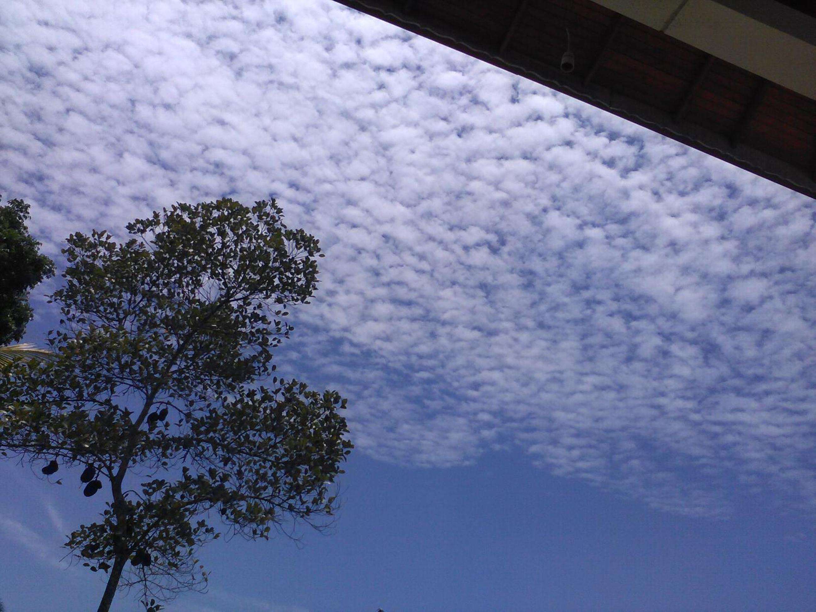 Photo 46