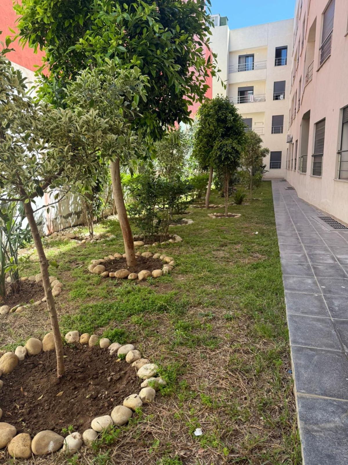 Moga Appartment