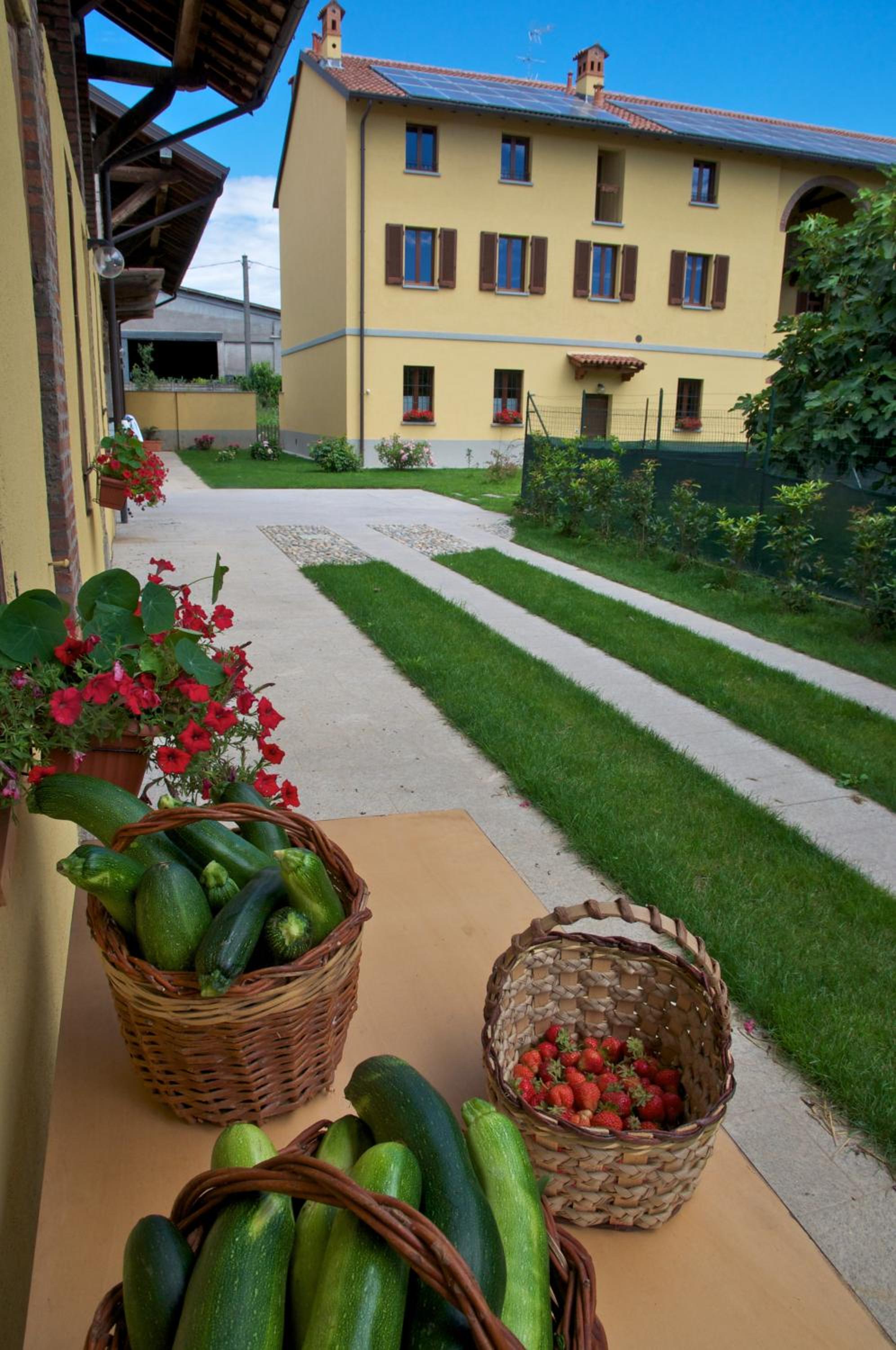 Photo 14