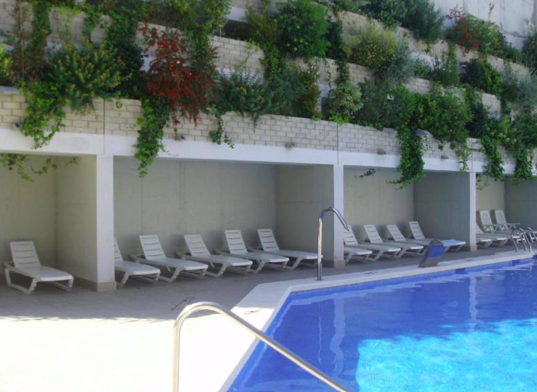 Palmera del mar