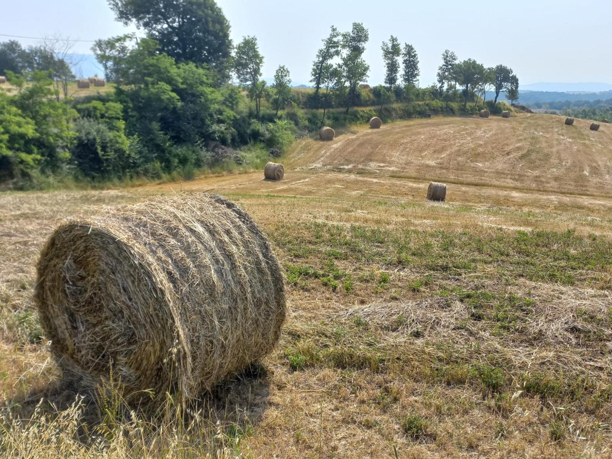 Agriturismo a casa di Toni