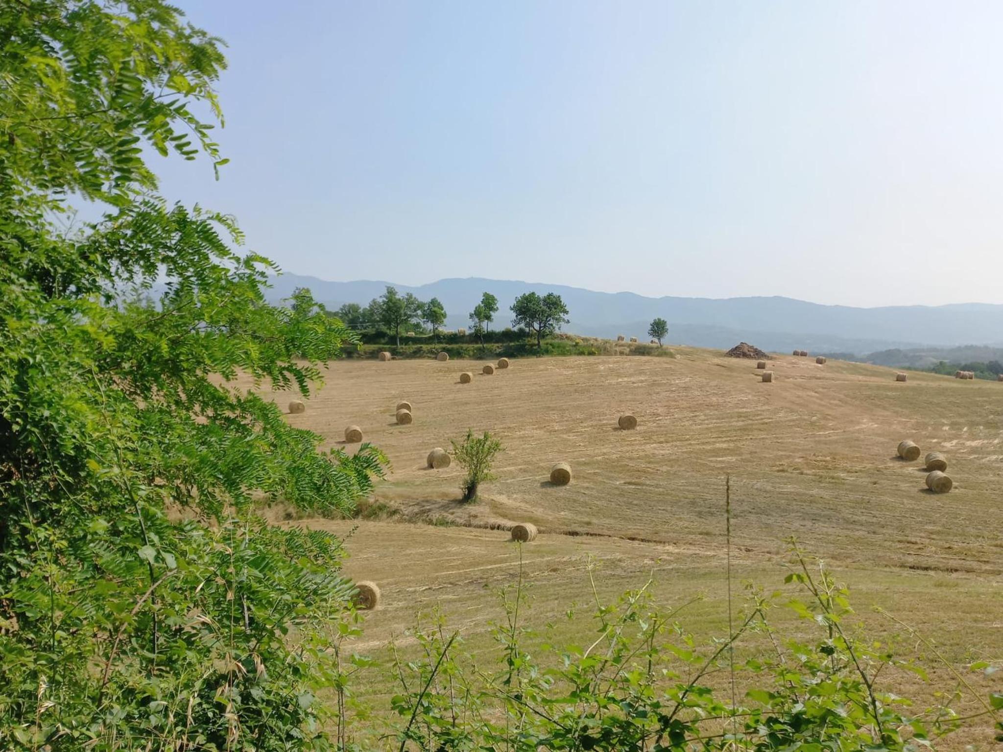 Agriturismo a casa di Toni