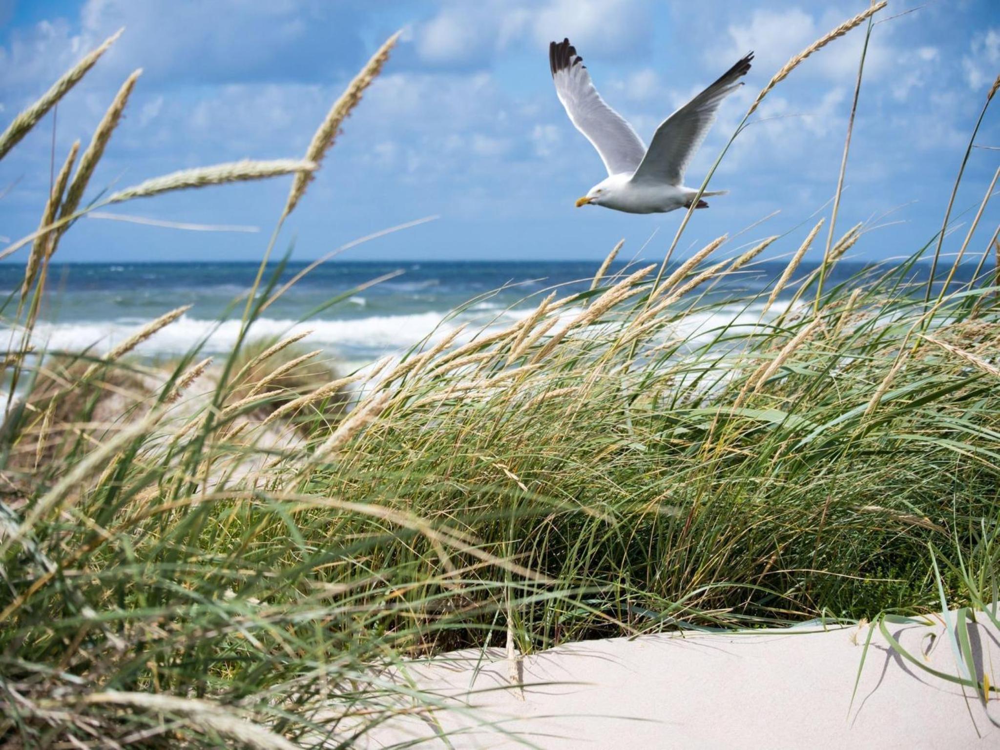 Duplex in Knokke near North Sea Beach