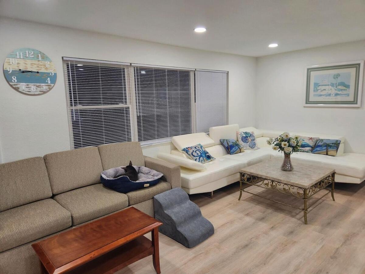 Largo, Fl Heated Pool 8 Beds 1 Mile to Beach Pets