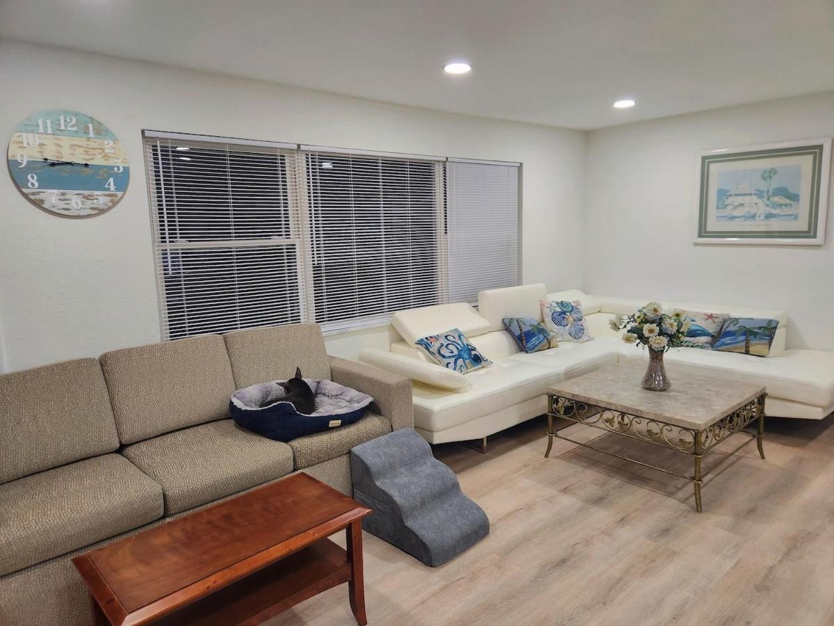 Largo, Fl Heated Pool 8 Beds 1 Mile to Beach Pets