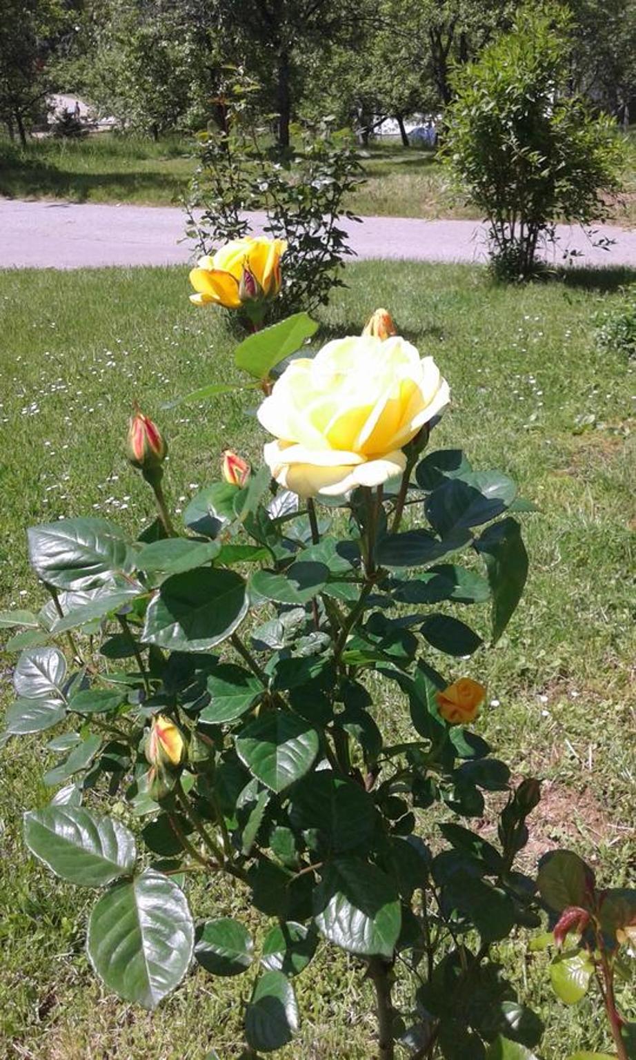 Photo 35