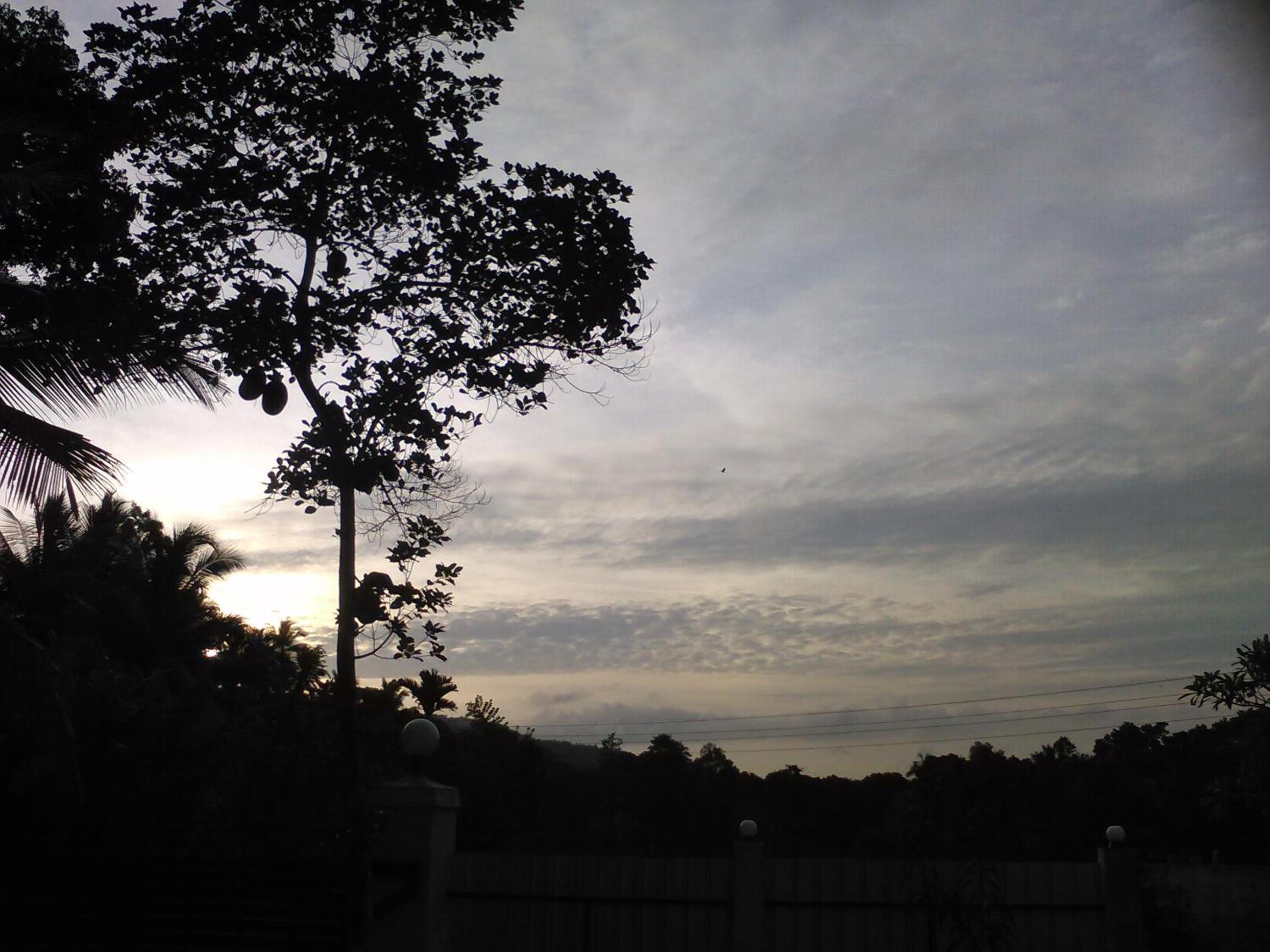 Photo 48