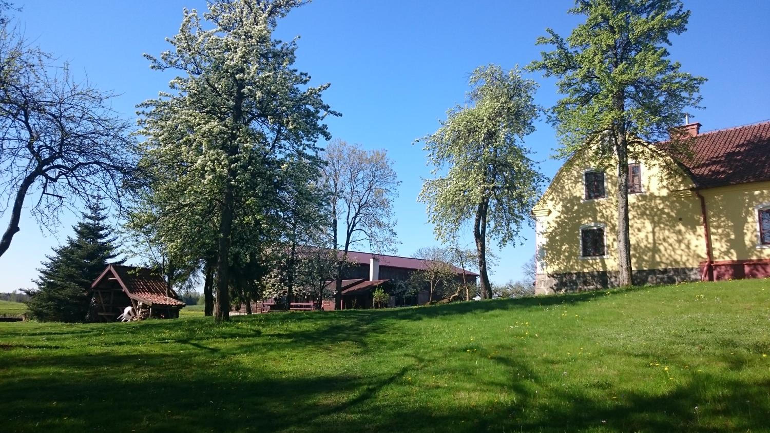 Photo 27