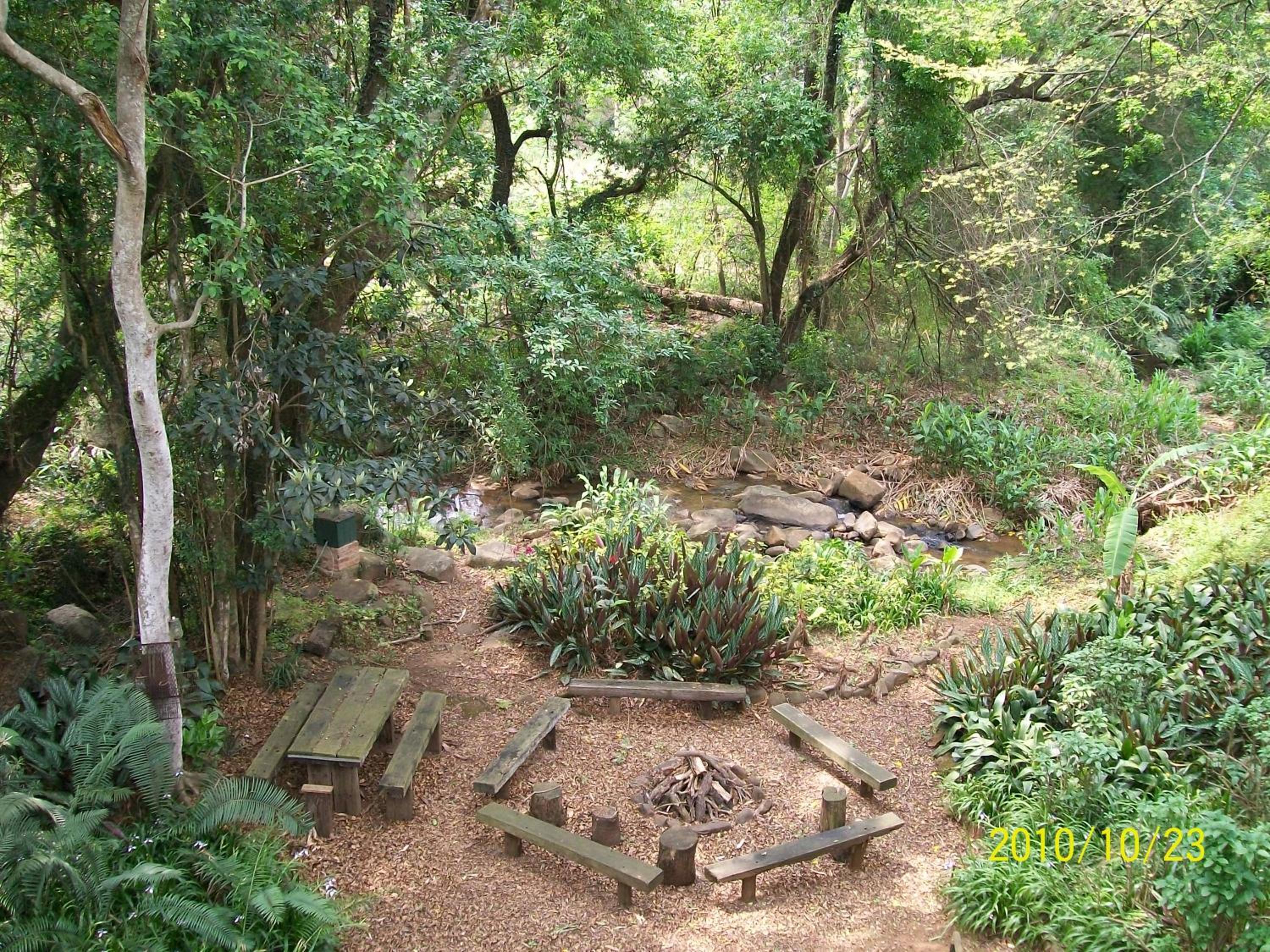 Photo 10