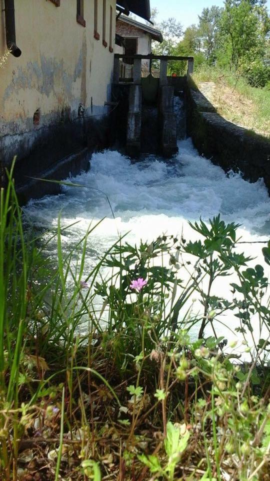 Agriturismo Helianthus