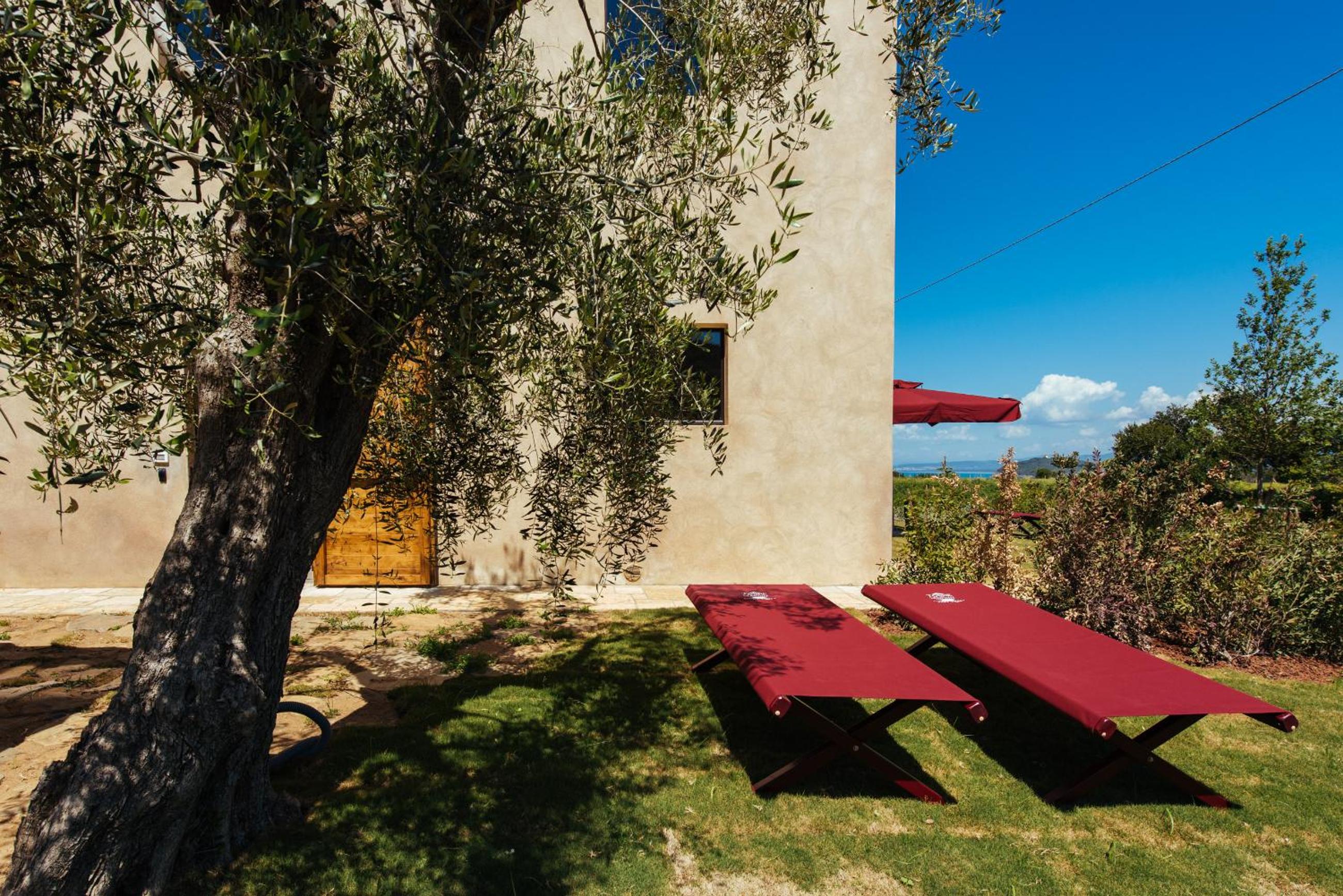 Torre di Baratti Bio Resort