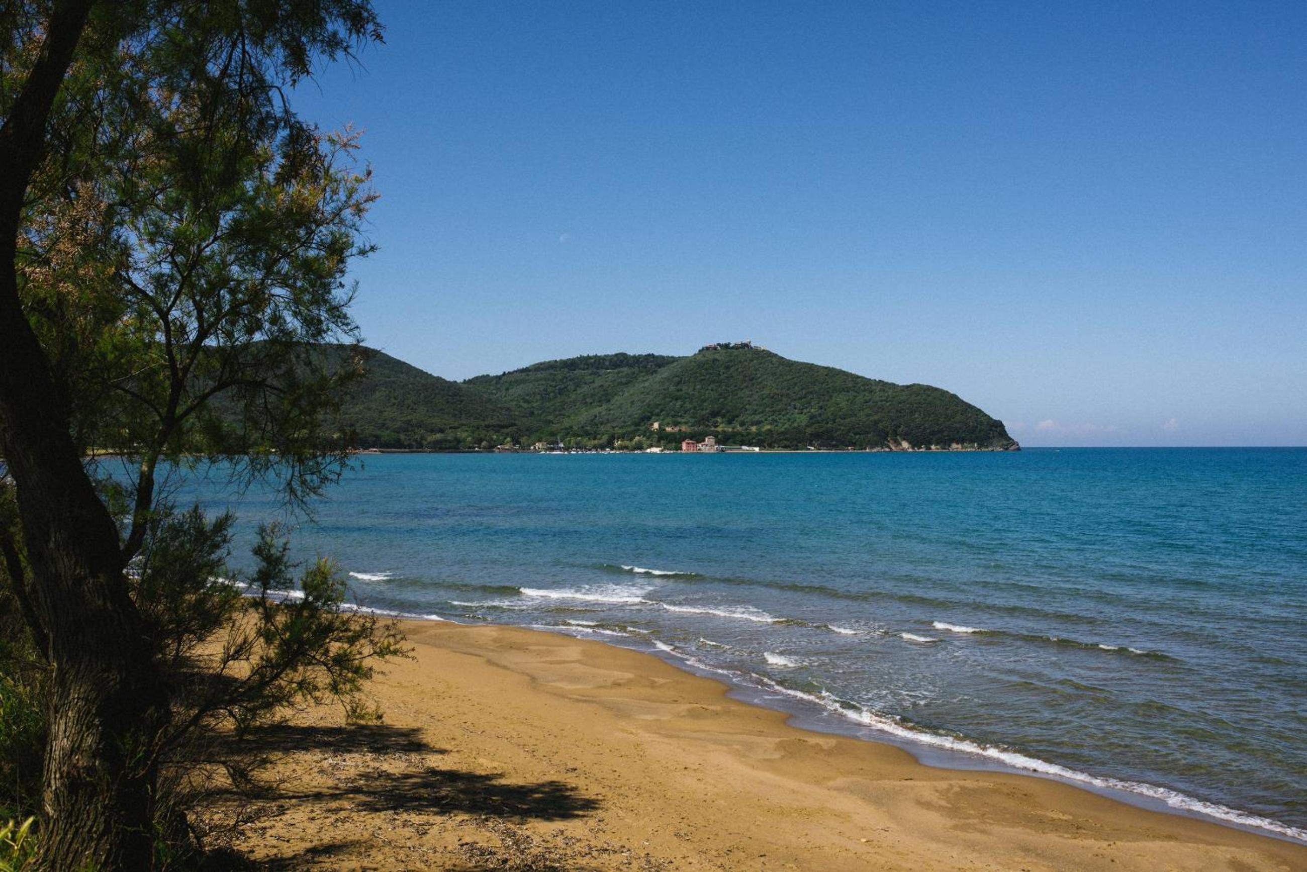 Torre di Baratti Bio Resort