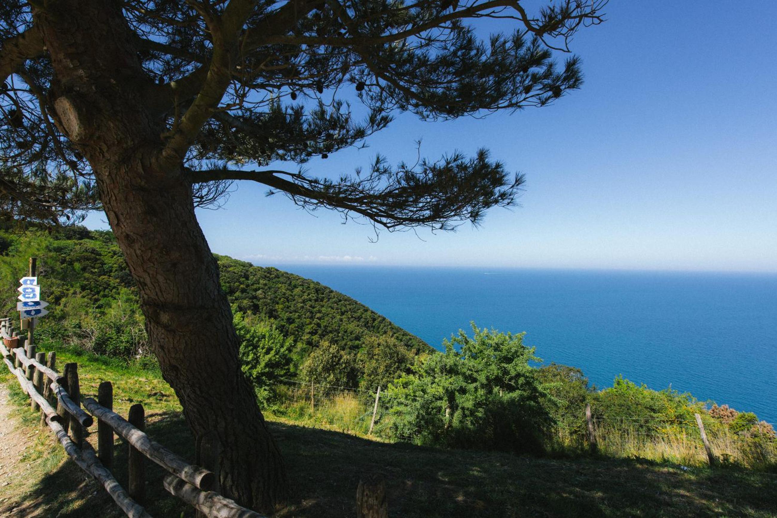 Torre di Baratti Bio Resort
