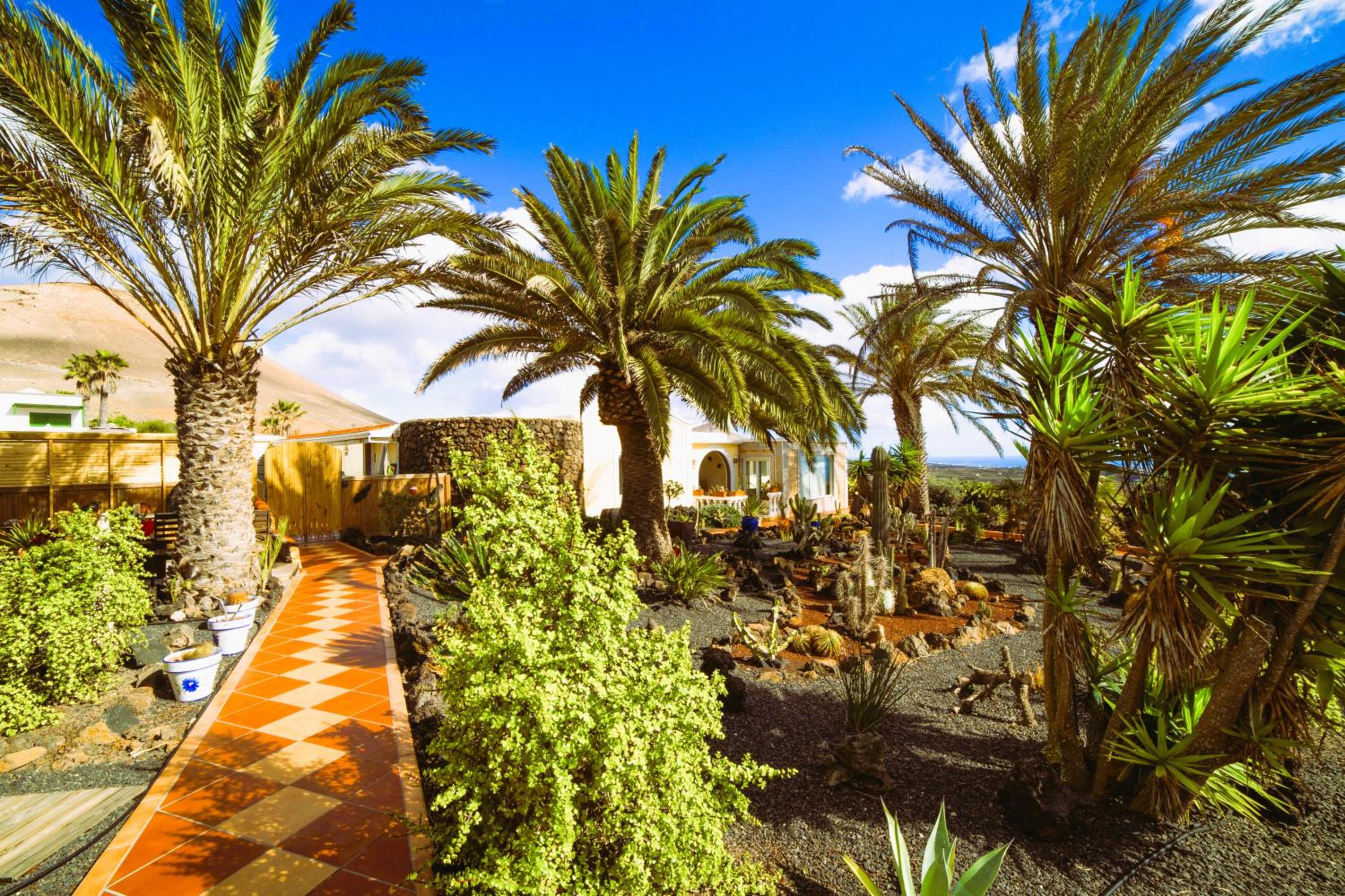 Tiny House MADORA - sea view - amazing garden - quiet location - Bodegas & hiking trails nearby