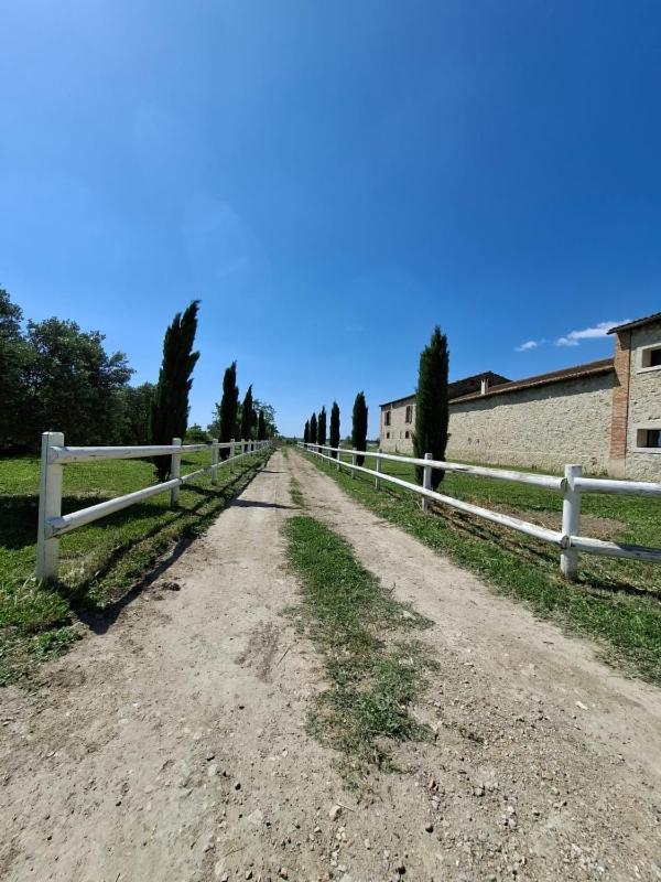 Mas De Bonnafoux