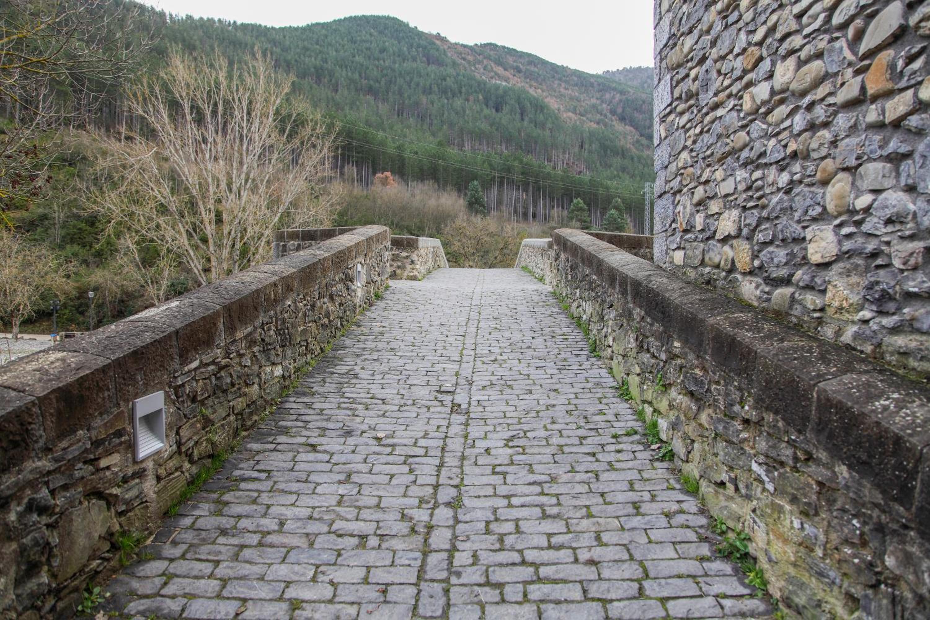 Photo 34