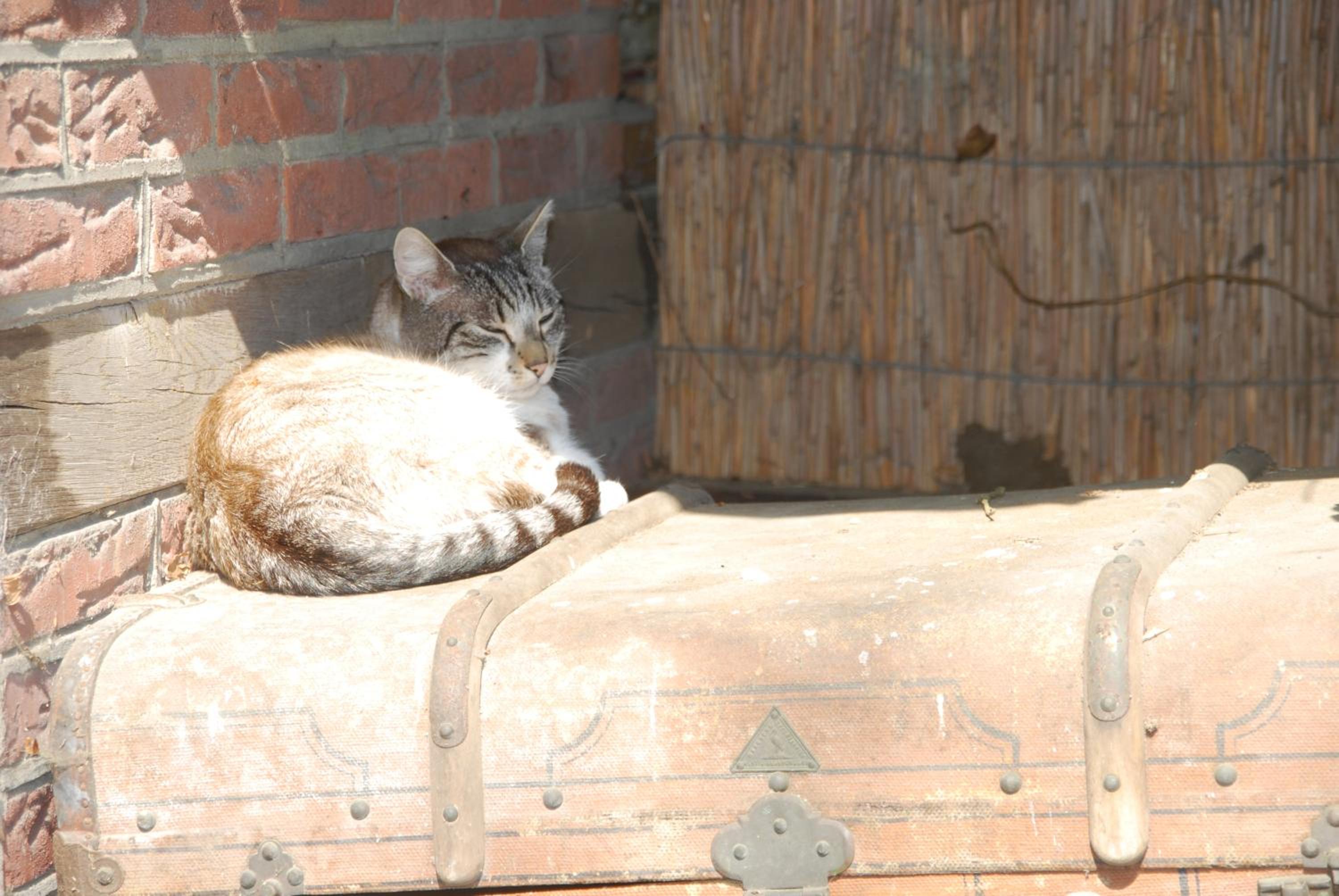 Photo 26