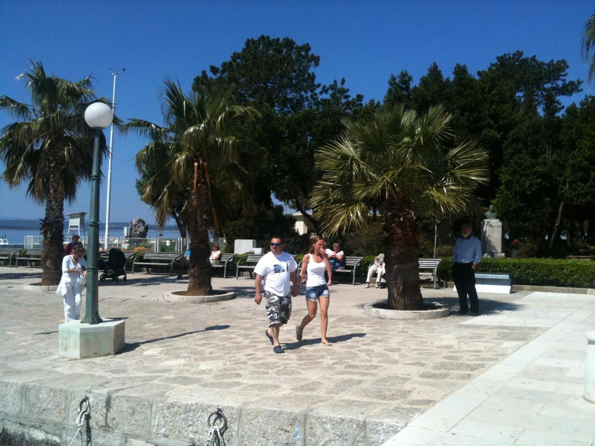 Photo 86