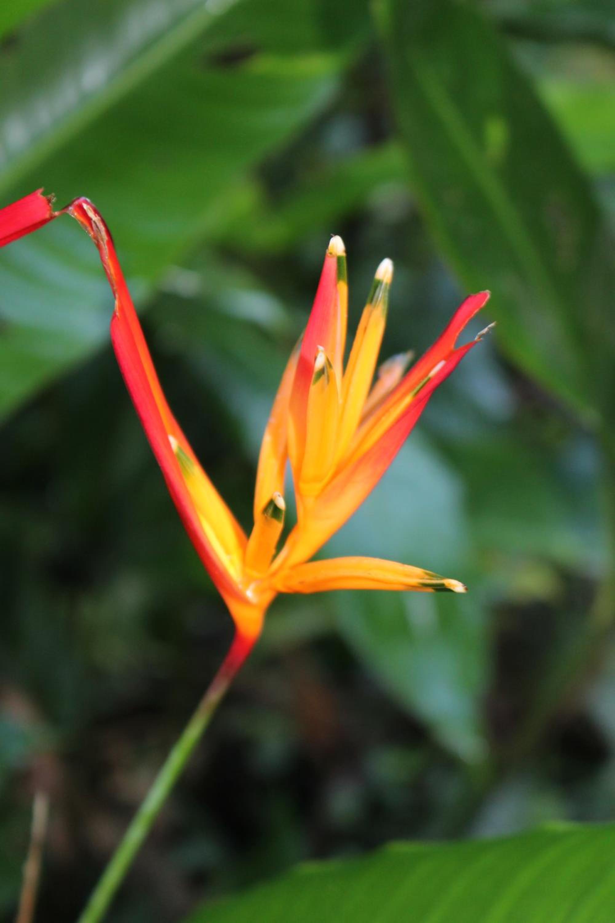 K'erenda Homet Reserva Natural